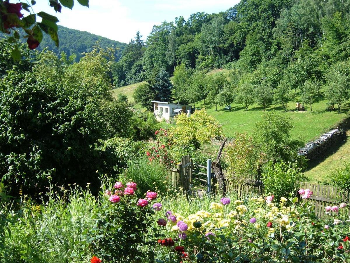 Ferienwohnungen allerleigrün Langenroda Exterior foto